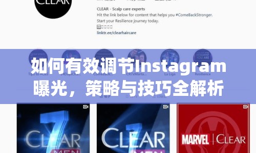如何有效調(diào)節(jié)Instagram曝光，策略與技巧全解析