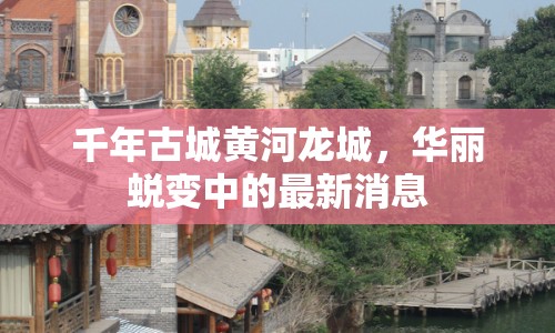 千年古城黃河龍城，華麗蛻變中的最新消息