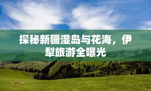 探秘新疆濕島與花海，伊犁旅游全曝光