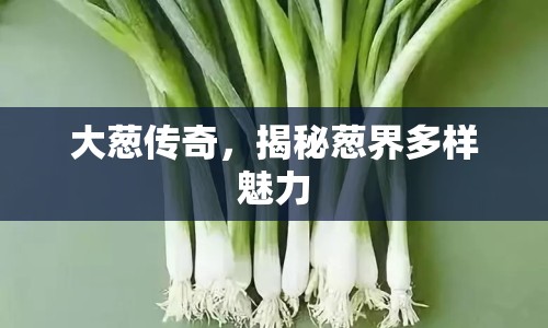 大蔥傳奇，揭秘蔥界多樣魅力