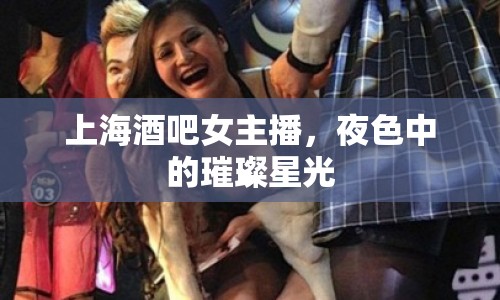 上海酒吧女主播，夜色中的璀璨星光