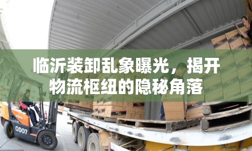 臨沂裝卸亂象曝光，揭開物流樞紐的隱秘角落