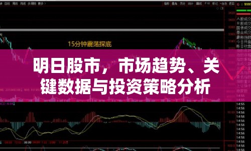 明日股市，市場趨勢、關鍵數(shù)據(jù)與投資策略分析