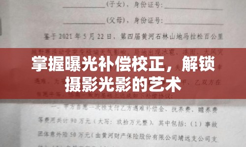 掌握曝光補(bǔ)償校正，解鎖攝影光影的藝術(shù)