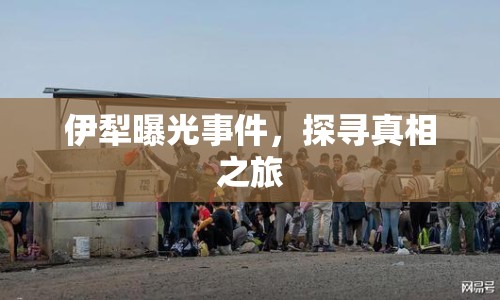 伊犁曝光事件，探尋真相之旅