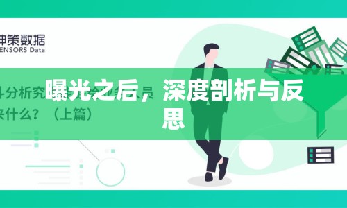 曝光之后，深度剖析與反思