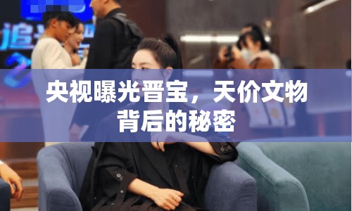 央視曝光晉寶，天價文物背后的秘密