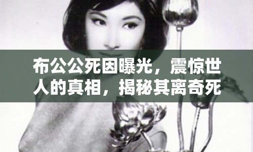 布公公死因曝光，震驚世人的真相，揭秘其離奇死亡背后的真相