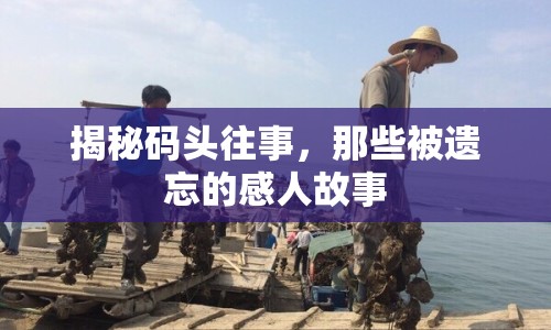 揭秘碼頭往事，那些被遺忘的感人故事