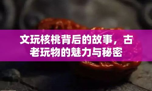 文玩核桃背后的故事，古老玩物的魅力與秘密