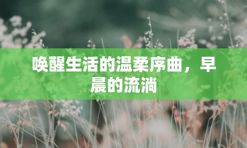 喚醒生活的溫柔序曲，早晨的流淌