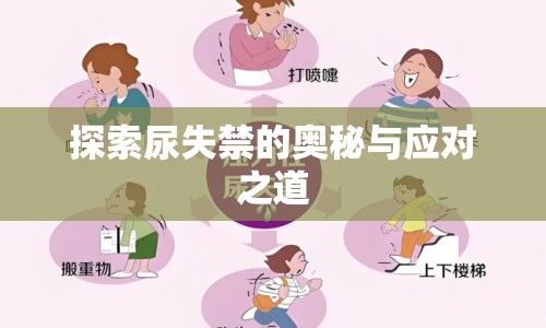 探索尿失禁的奧秘與應對之道