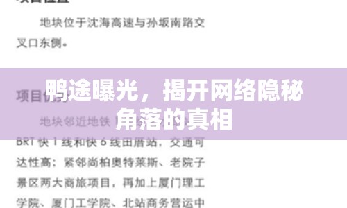 鴨途曝光，揭開網(wǎng)絡(luò)隱秘角落的真相