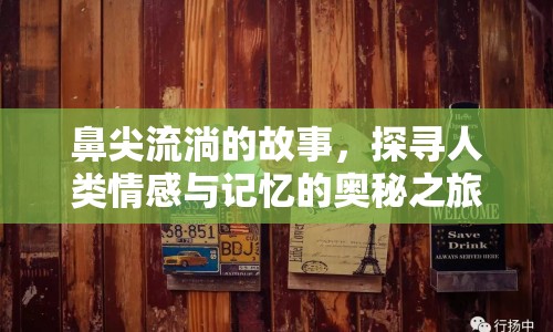 鼻尖流淌的故事，探尋人類情感與記憶的奧秘之旅