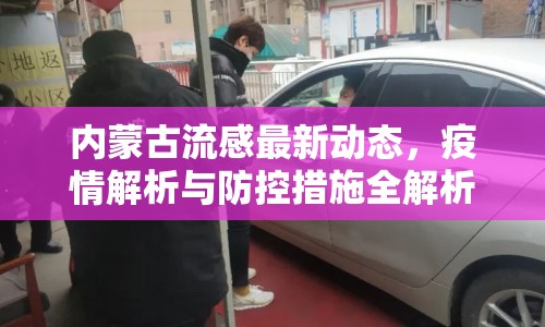 內(nèi)蒙古流感最新動(dòng)態(tài)，疫情解析與防控措施全解析