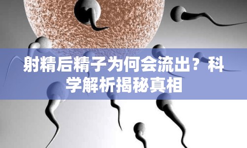 射精后精子為何會流出？科學解析揭秘真相