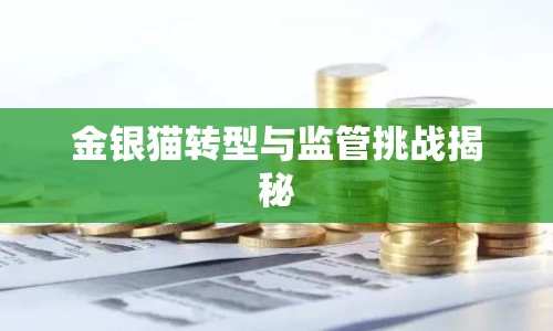 金銀貓轉(zhuǎn)型與監(jiān)管挑戰(zhàn)揭秘
