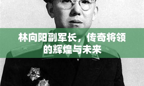 林向陽副軍長(zhǎng)，傳奇將領(lǐng)的輝煌與未來