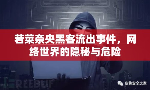 若菜奈央黑客流出事件，網(wǎng)絡(luò)世界的隱秘與危險(xiǎn)