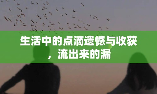 生活中的點(diǎn)滴遺憾與收獲，流出來的漏