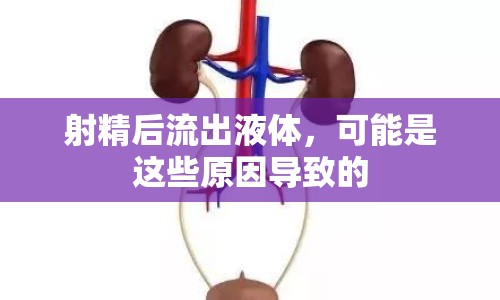 射精后流出液體，可能是這些原因?qū)е碌? class=