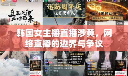 韓國女主播直播涉黃，網(wǎng)絡(luò)直播的邊界與爭(zhēng)議