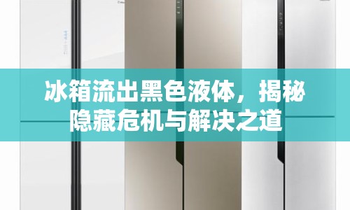 冰箱流出黑色液體，揭秘隱藏危機(jī)與解決之道