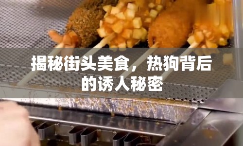揭秘街頭美食，熱狗背后的誘人秘密