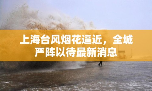 上海臺風(fēng)煙花逼近，全城嚴(yán)陣以待最新消息