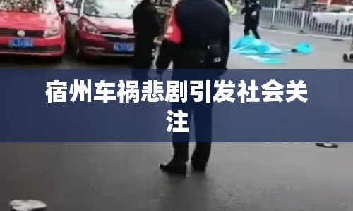 宿州車禍悲劇引發(fā)社會關注