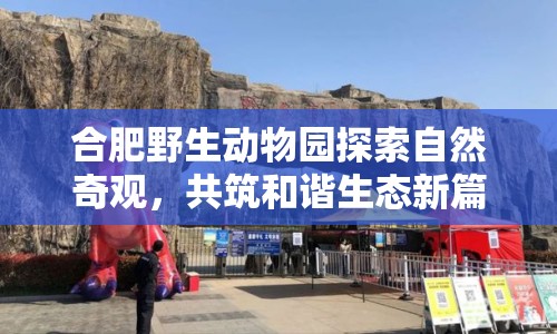 合肥野生動(dòng)物園探索自然奇觀，共筑和諧生態(tài)新篇章