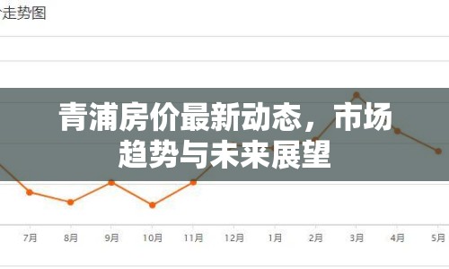 青浦房價最新動態(tài)，市場趨勢與未來展望