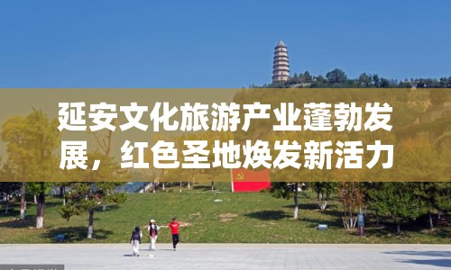 延安文化旅游產(chǎn)業(yè)蓬勃發(fā)展，紅色圣地?zé)òl(fā)新活力