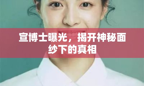 宣博士曝光，揭開(kāi)神秘面紗下的真相