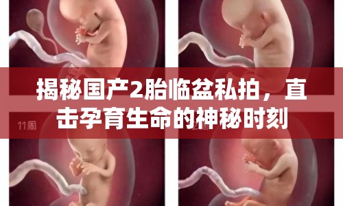 揭秘國產(chǎn)2胎臨盆私拍，直擊孕育生命的神秘時刻
