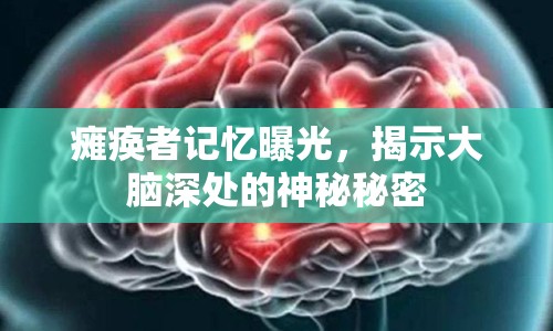 癱瘓者記憶曝光，揭示大腦深處的神秘秘密