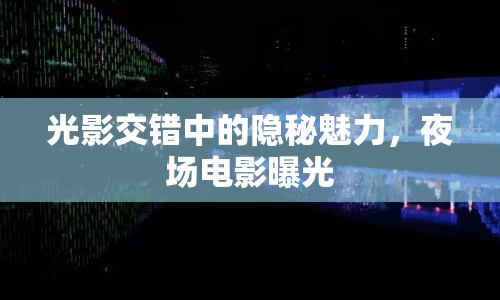 光影交錯(cuò)中的隱秘魅力，夜場(chǎng)電影曝光