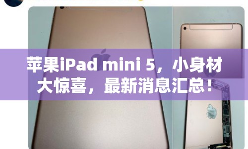 蘋(píng)果iPad mini 5，小身材大驚喜，最新消息匯總！