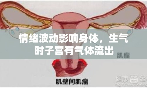情緒波動影響身體，生氣時子宮有氣體流出