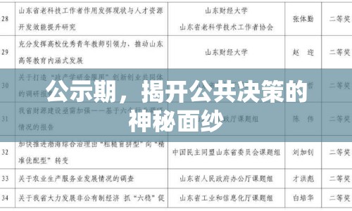 公示期，揭開(kāi)公共決策的神秘面紗