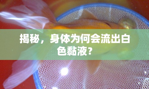 揭秘，身體為何會流出白色黏液？