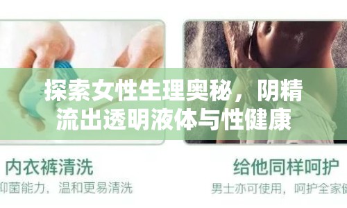 探索女性生理奧秘，陰精流出透明液體與性健康