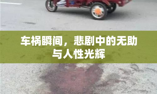 車禍瞬間，悲劇中的無助與人性光輝