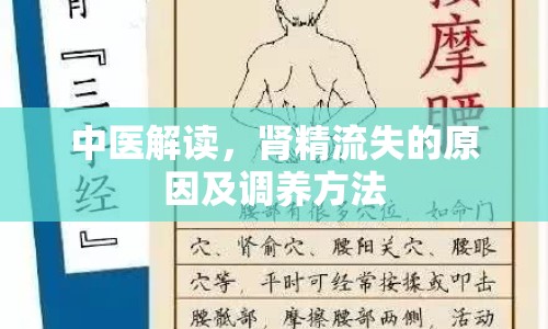 中醫(yī)解讀，腎精流失的原因及調(diào)養(yǎng)方法