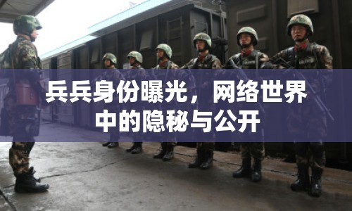 兵兵身份曝光，網(wǎng)絡(luò)世界中的隱秘與公開