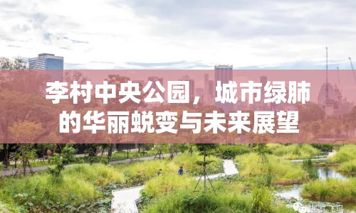 李村中央公園，城市綠肺的華麗蛻變與未來展望