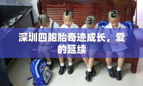 深圳四胞胎奇跡成長，愛的延續(xù)