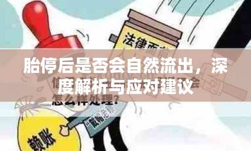 胎停后是否會(huì)自然流出，深度解析與應(yīng)對建議
