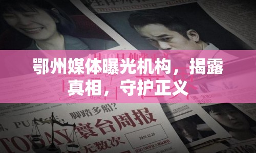 鄂州媒體曝光機(jī)構(gòu)，揭露真相，守護(hù)正義