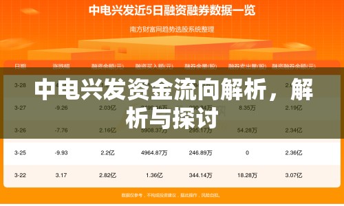 中電興發(fā)資金流向解析，解析與探討